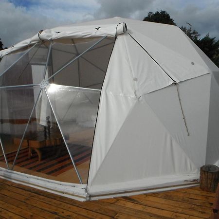 Mamma Nui Glamping Villa อังกาโรอา ห้อง รูปภาพ