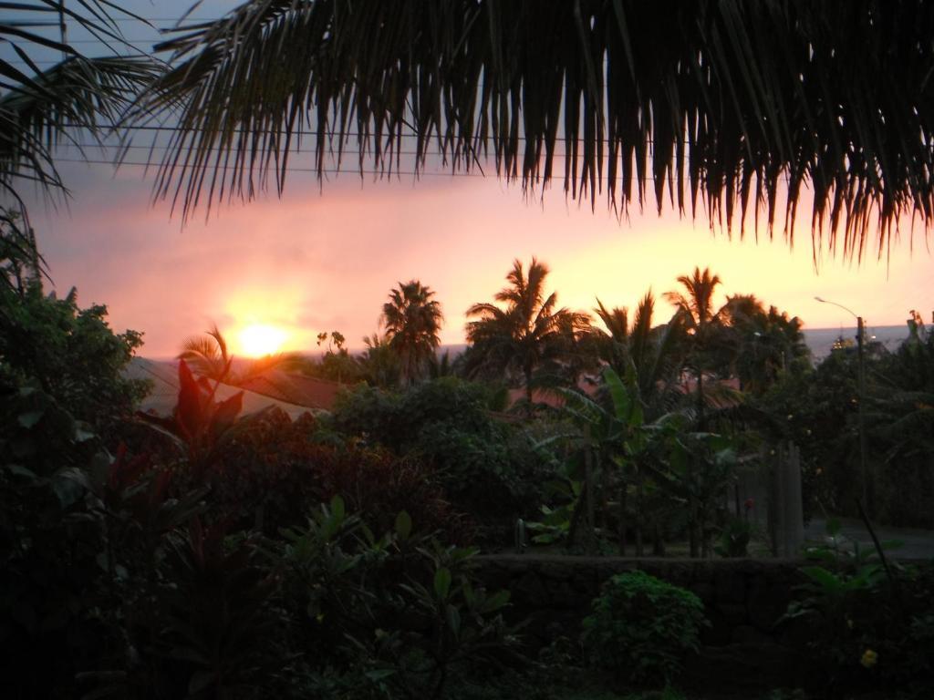 Mamma Nui Glamping Villa อังกาโรอา ภายนอก รูปภาพ
