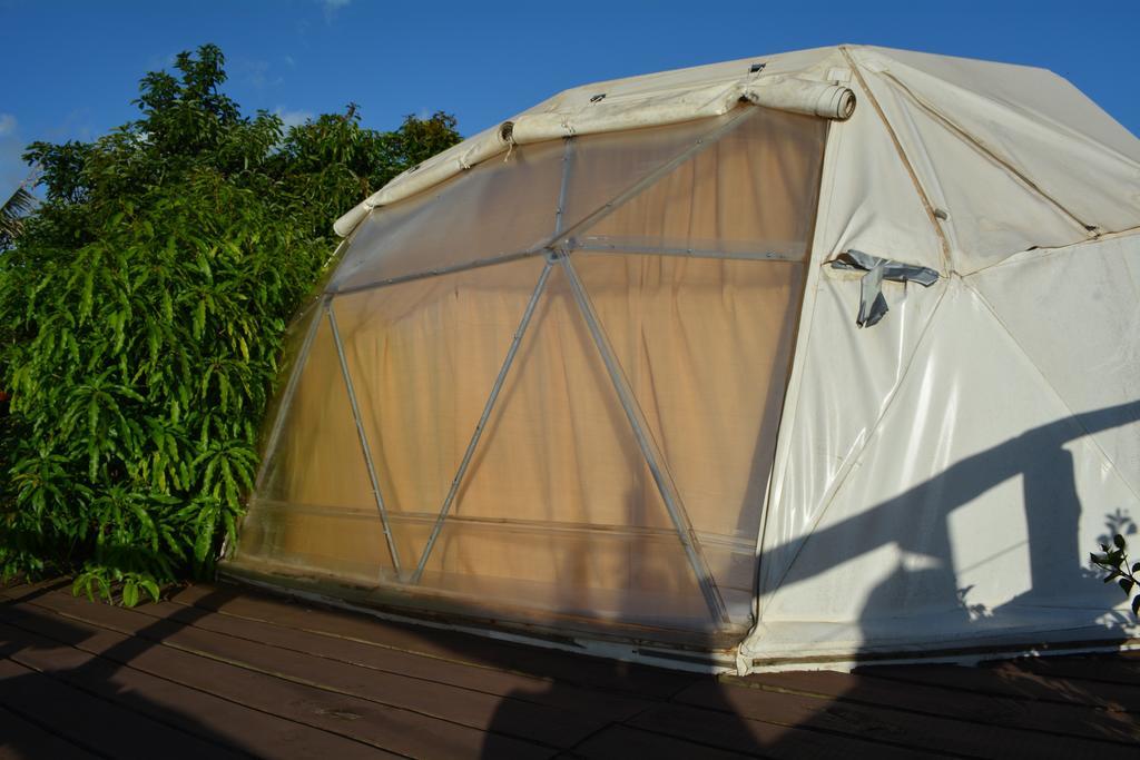 Mamma Nui Glamping Villa อังกาโรอา ภายนอก รูปภาพ