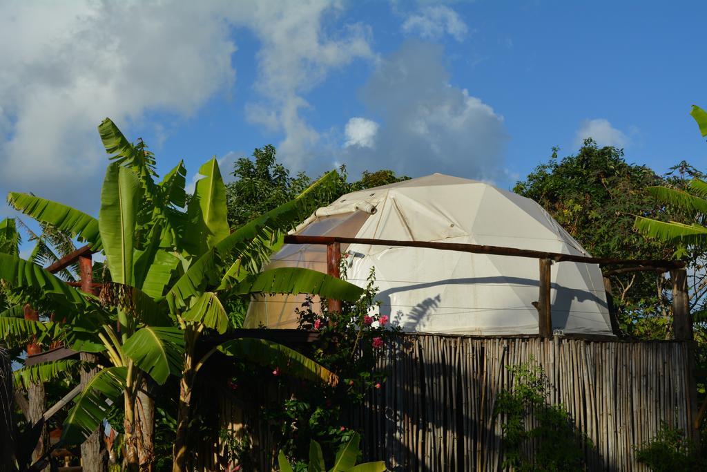 Mamma Nui Glamping Villa อังกาโรอา ภายนอก รูปภาพ
