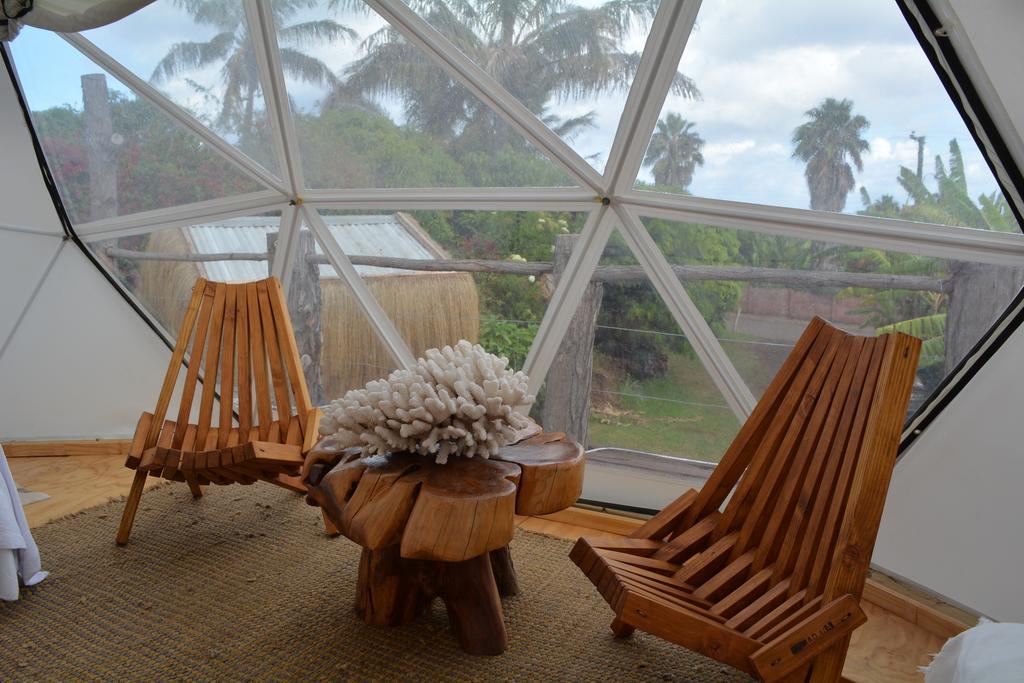 Mamma Nui Glamping Villa อังกาโรอา ภายนอก รูปภาพ