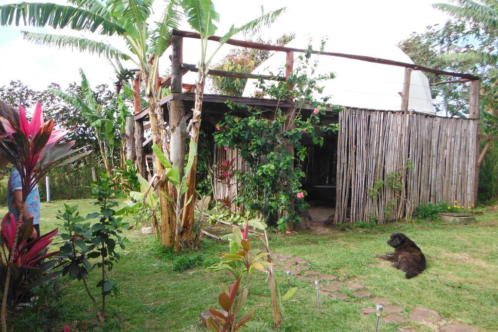 Mamma Nui Glamping Villa อังกาโรอา ภายนอก รูปภาพ